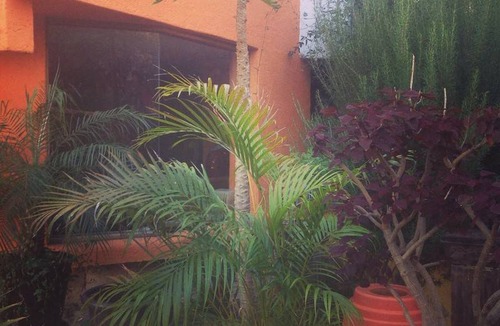 Marfil Resort | Private room ∙ 2 guests