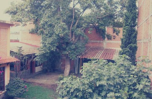 Toluca City-Centre Resort | Private room ∙ 2 guests