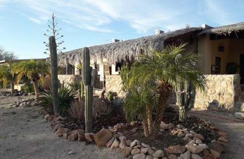 San Ignacio House | Rancho Espinoza