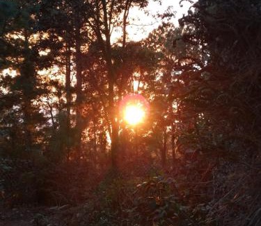 San Jose del Pacifico Ski Chalet | Rancho Samadhi