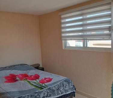 Ixtapalapa Apartment | Recámara céntrica funcional