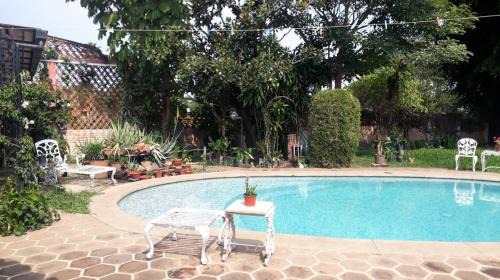 Central Cuernavaca House | Residencia Casa del Roble 1