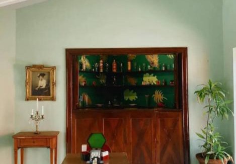 Central Cuernavaca House | Residencia Casa del Roble 1