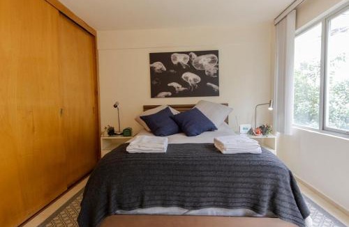 Colonia Cuauhtemoc Apartment | Rio Niagara