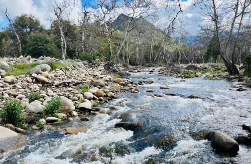 Three Rivers House | Riverfront with EV charger - Sequoia River Cottage