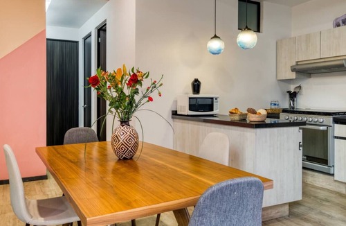 Colonia Roma Apartment | Roma Ferrer l Unique 1 BR in Mexico City