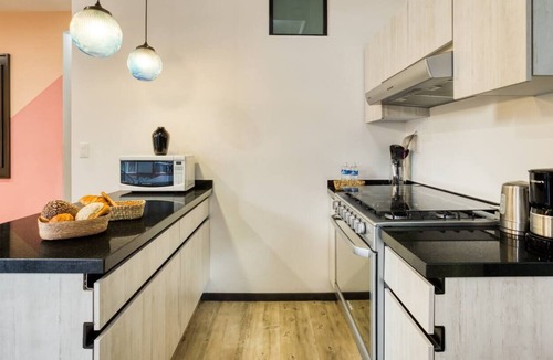 Colonia Roma Apartment | Roma Ferrer l Unique 1 BR in Mexico City