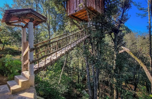 Mineral del Chico Cabin | Romantic treehouse with forest view and extensive green areas