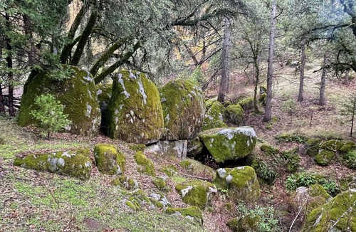 Placerville RV Rental | Rustic Bell Tent Glamping in Wine and Gold Country