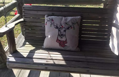 Plain View Cabin | Rustic Cabin Rental on Secluded Farmland near Raleigh, North Carolina