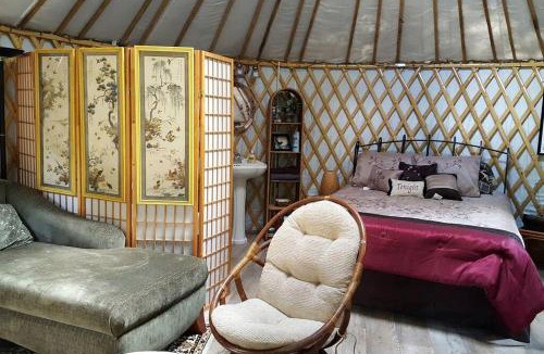 Claxton Other | Rustic Luxury: Riverfront Yurt Glamping in Claxton, Georgia