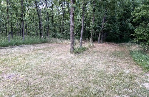 Berrien Springs RV Rental | Rustic Tent Campsite #3