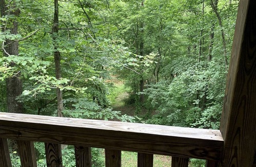 Elkin Cabin | Secluded Woodland Cabin Rental with Hot Tub in Yadkin Valley Wine Region