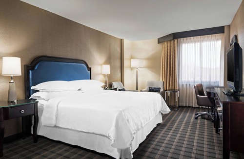 Paw Creek Hotel | Sheraton Charlotte Airport Hotel