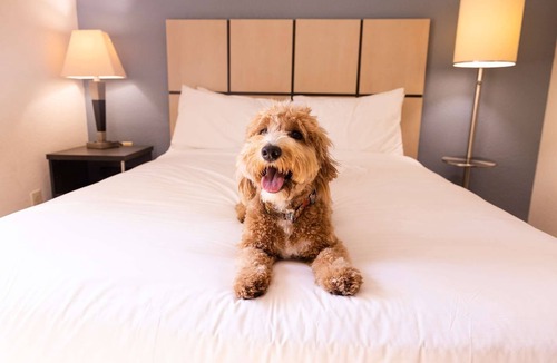 Morris Plains Hotel | Spacious 1BR Suite w/Kitchenette Near Morristown Green with Easy NYC Access