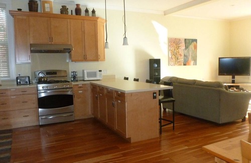 Noe Valley Apartment | Spacious and beautiful flat