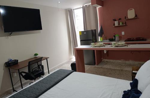 Cordoba Apartment | Suite 105 Cordoba centro y estacionamiento