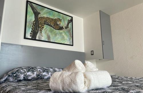 Costera Acapulco Apartment | Suite frente al mar en Torres Gemelas Acapulco