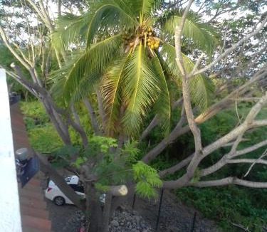 Ixtapa Apartment | Surf lodge