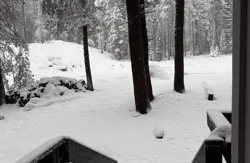 Pla-Vada Woodlands Cabin | Tahoe Adventure Cabin