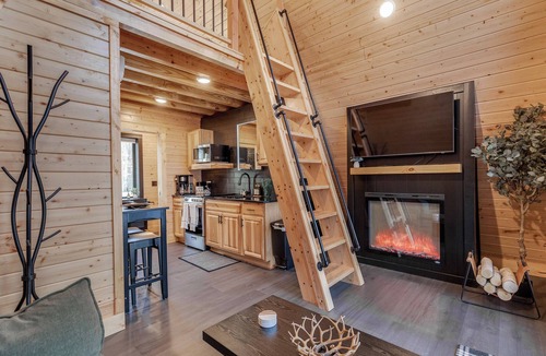 Brainerd Cabin | Tiny Home-A Frame-Sauna-Cold Plunge-Fire Pit-Seclusion