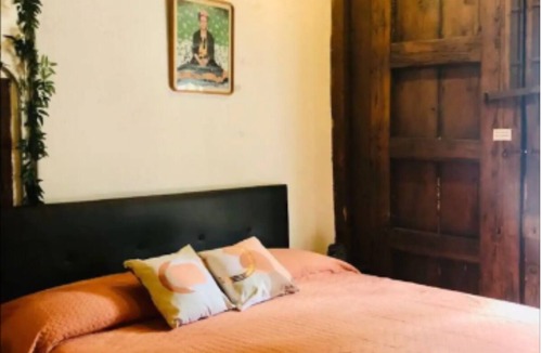 Coyoacan Apartment | Tizapán Beautiful 02 apartment with patio 1BE/1BA