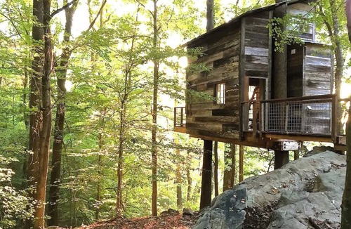 Flintstone House | Treetop Hideaways - Luna Loft