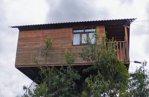 Omitlan de Juarez House | Trini Tree House — Nido By GEstores
