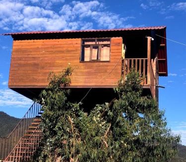 Omitlan de Juarez House | Trini Treehouse By GEstores
