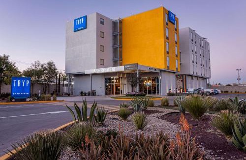 San Luis Potosi Hotel | TRYP by Wyndham San Luis Potosi Hotel & Suites