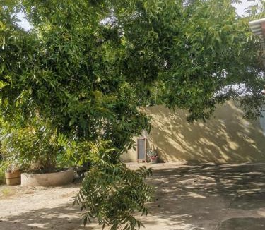 Chihuahua Apartment | turista MAYA