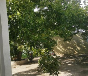 Chihuahua Apartment | turista MAYA