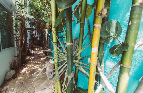 Tulum City Center Apartment | Turquesa @ Mi Sagrado. Oasis in Town. 10m to Beach