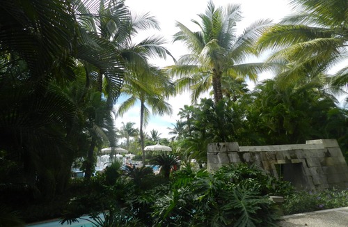 Uayamon Apartment | Un paraiso de descanso, comodidad, sol y naturaleza