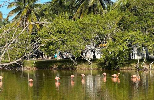 San Crisanto Villa | Unique Beachfront Casa Kyma, Pool, San Crisanto, Yucatan