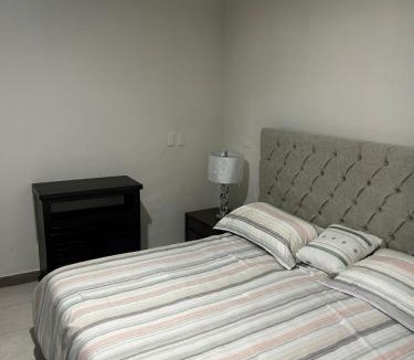 Zona Centro Apartment | Victoria Deptos & Suites