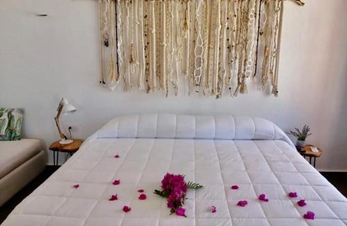 Tixpehual Villa | VILLA DEL CIELO TIXPEHUAL