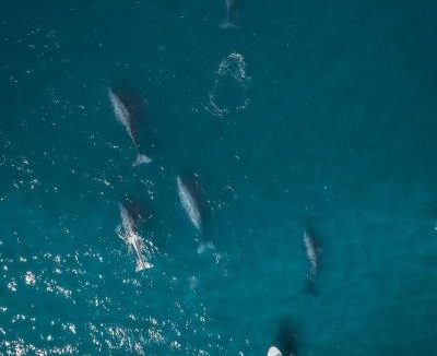 Mazunte Hotel | ZOA Hotel - Adults Only