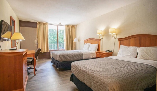 2 Full Bed|Smoking|Greensboro