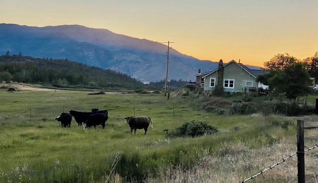 500 Acre Ranch on the Foot of Mount Shasta.