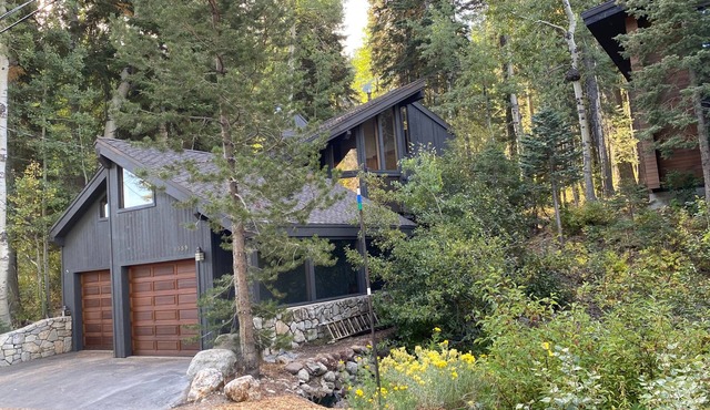 Alpine Bliss- Stylish, Dog Friendly, Plus Seasonal Ski Shuttle