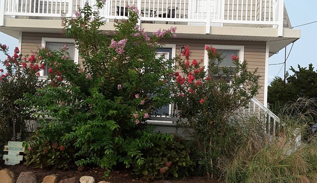 Beautiful, spacious within blocks to both beach and bay.