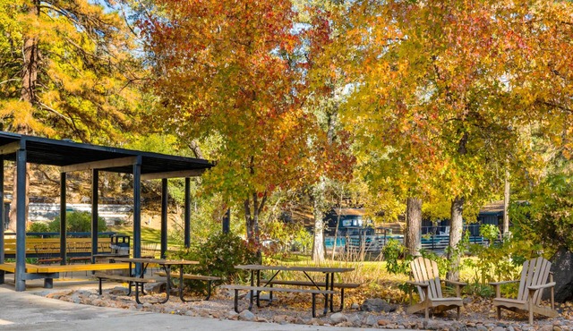 Camp Silver Spur