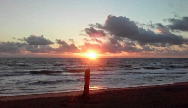 Charming 2-bedroom Townhouse on Hutchinson Island, with private beach access.