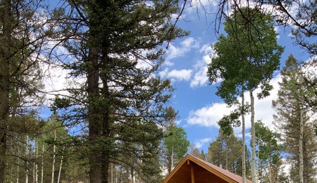 Cozy Arrowhead Cabin