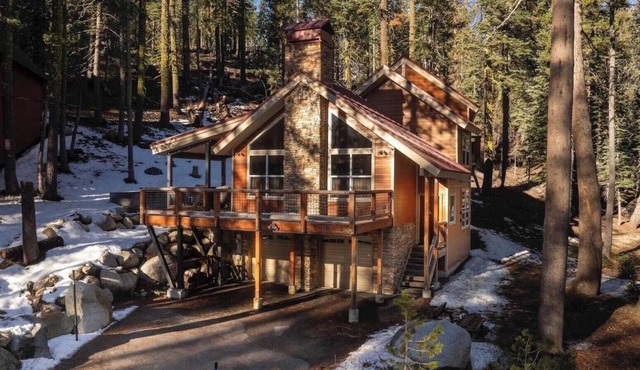 Cozy cabin in the pines - Wonderful location, steps away from the lake!