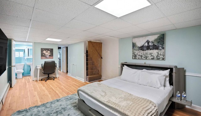 Cozy in Canton - Private Driveway - Pet Friendly