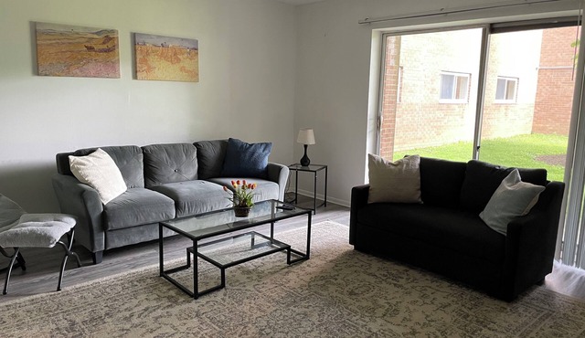 Cozy Renovated 1BR | Moss Rehab | Extended Stay