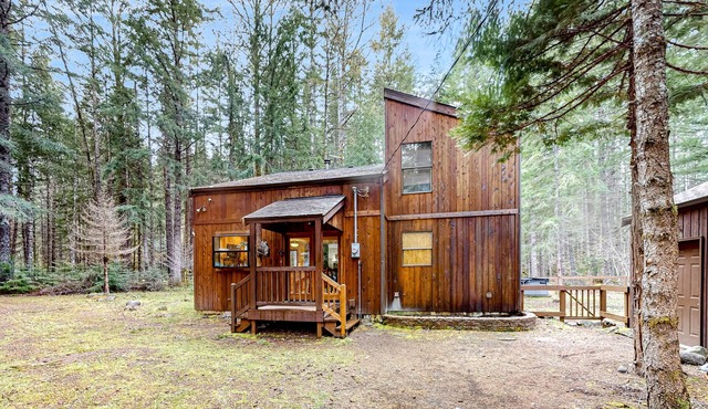 Dog-friendly forest cabin with private hot tub, gorgeous deck & fireplace