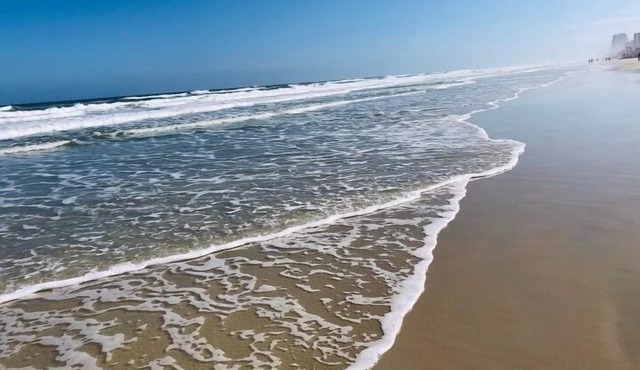 GREAT LOCATION- 1 BR/2 Bath Direct Oceanfront Condo- Free Wi-Fi new up date